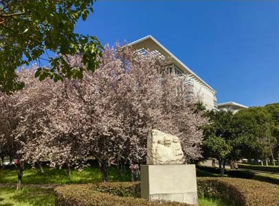 江苏幼师学校大专好的学校