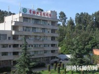 云南林业幼儿师范高级技工学校2023年有那些专业