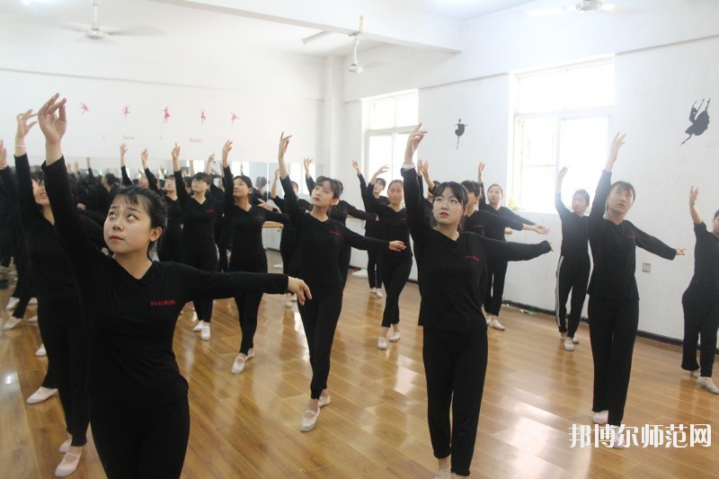 陕西有幼师学校的大专大学