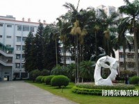 广州2020年适合男生的幼师学校