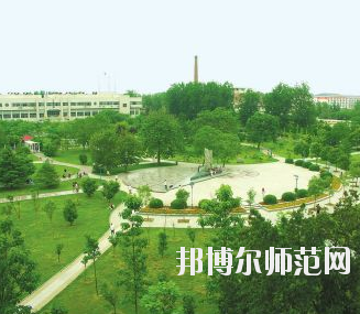 河南2020年有成人幼师学校吗