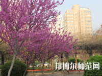 郑州2020年初中生可以去学幼师学校吗