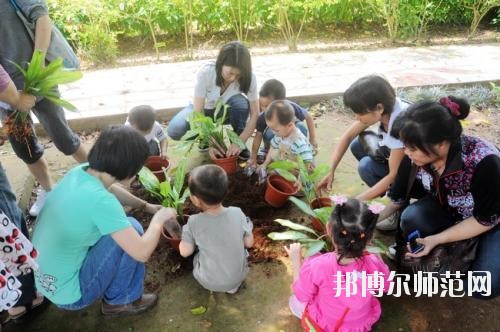 贵阳2020年幼师学校属于什么学历