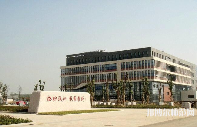 徐州2020年哪些大专学校有幼师学校