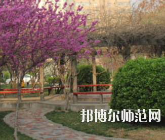 郑州2020年幼师学校可以学什么