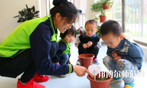 金昌2020年中学毕业读什么幼师学校