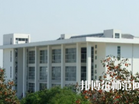 潍坊工程职业师范学院2023年招生代码