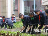 江苏2022年去读小学教育学校学什么对以后好一点