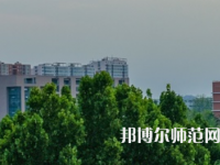 安阳师范学院2023年招生代码