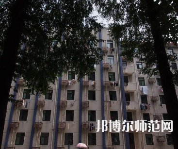 安徽大学师范学院龙河校区2023年有哪些专业