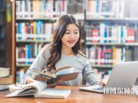 西安排名前二的民办汉语言文学学校名单一览表